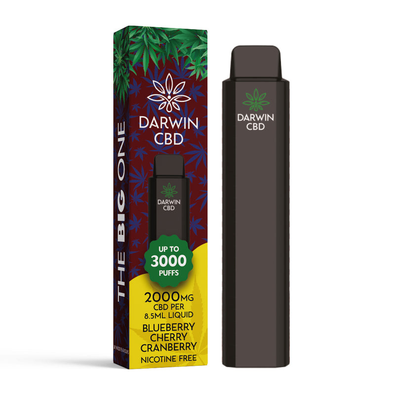 Darwin CBD Disposable – Blueberry Cherry Cranberry 2000mg