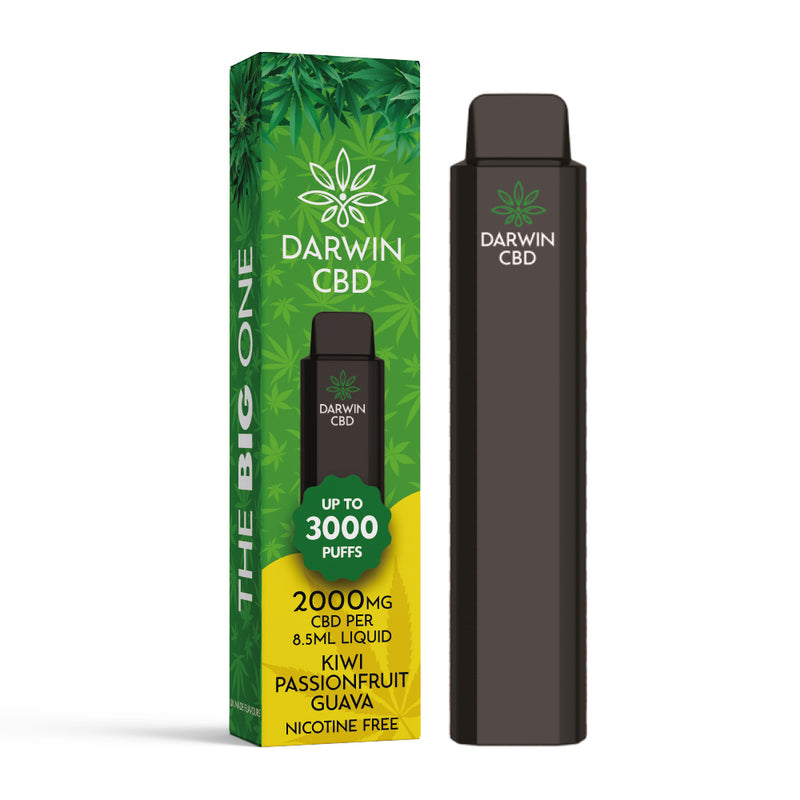 Darwin CBD Disposable – Kiwi Passionfruit Guava