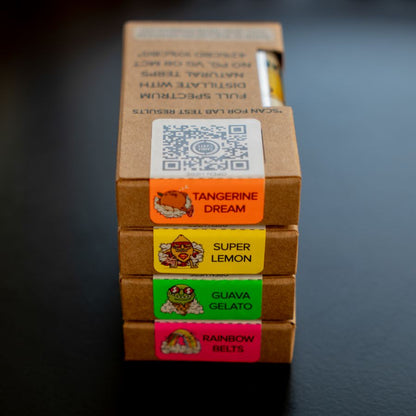 CANNACARTS CBD Vape Kit